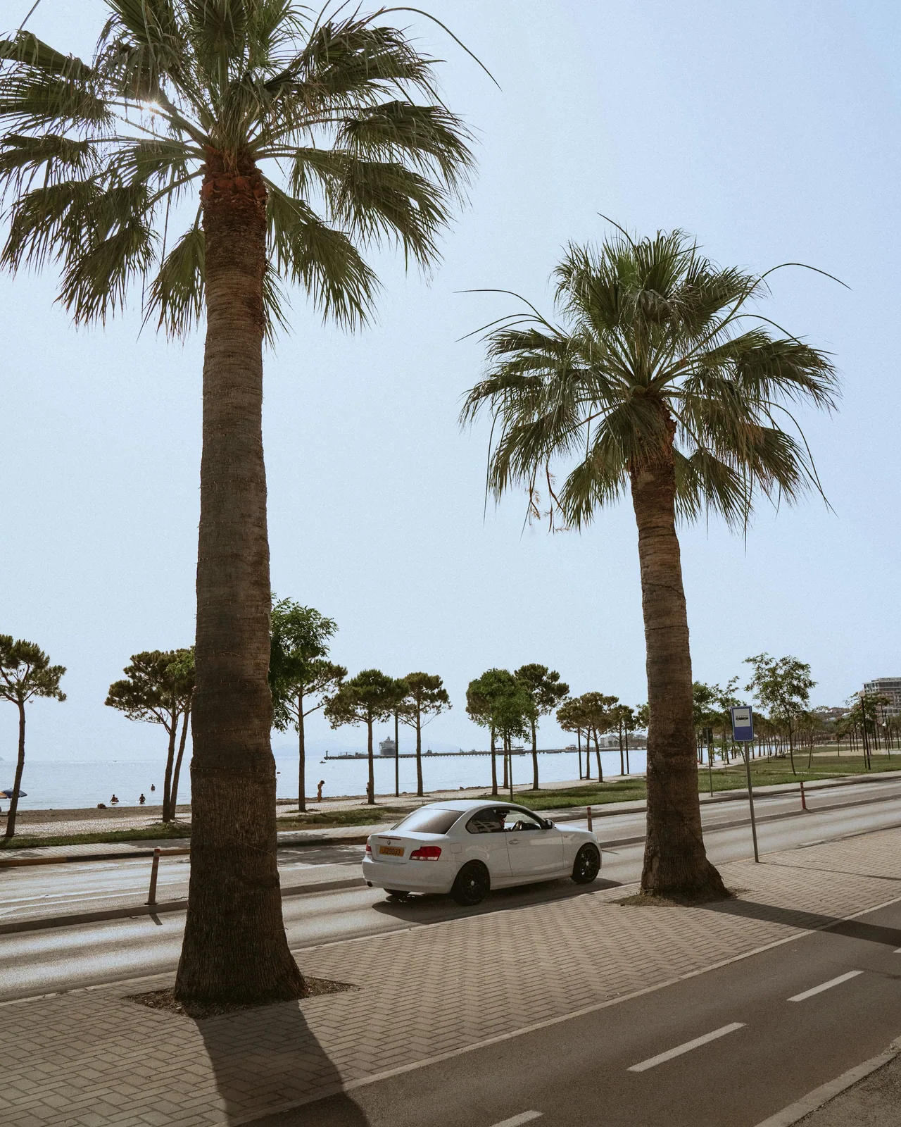 White car on a palm-lined seafront road